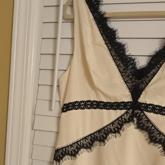 Anthropologie Cream and Black Sleeveless Midi Dress - Picture 6 of 13